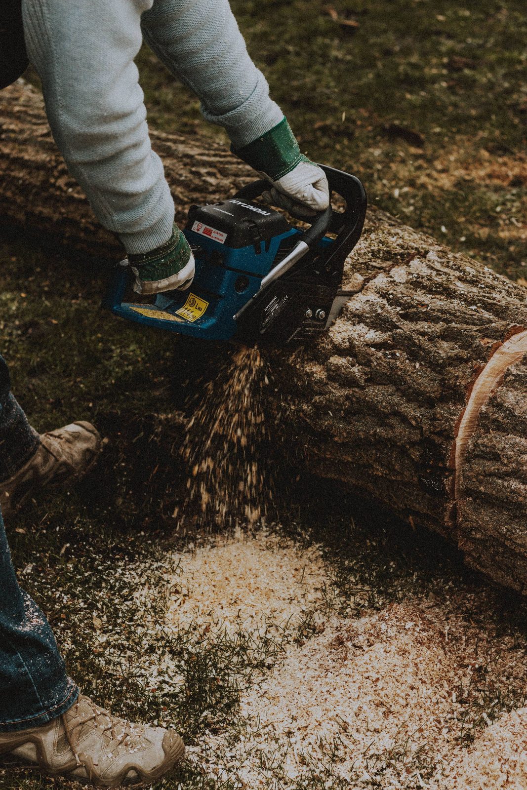 A Tree Removal Douglasville crew member cutting into a large trunk during an on-site job